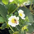 다한농장 이미지