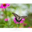 탄천면사무소 이미지