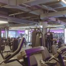 피트온24 이미지