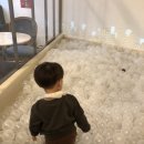 합정릴리펏 이미지