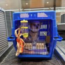 티지메디칼 이미지