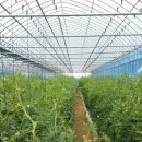 현진농장 이미지