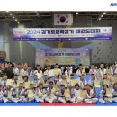 국가대표 태권도 금메달도장 이미지