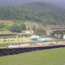 용두초등학교 이미지