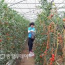 대흥면주민자치센터 이미지