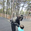 대황강 출렁다리 화장실 | 주말 가족 나들이 추천, 마장호수 출렁다리 아이랑 다녀온 후기