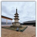 장도해도마을(옥외) | 경주 여행 아이와 가볼만한 신라역사 문화유산 국립경주박물관