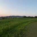 연천신답리고분 이미지