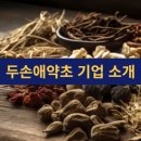 두손애약초 기업 소개 | 자연을 품은 건강한 삶의 동반자 | 한약재 | 건강식품