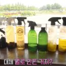 혜성카세차장 | 생생정보 한상진 손세차 문의