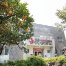 서귀포공공산후조리원 이미지