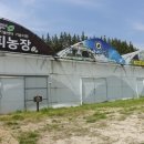 정이농장 이미지