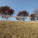 광주매곡동우체국 이미지