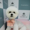 피엔피PC 이미지