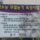 삼척꿀벌농장