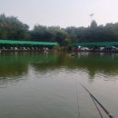 하마낚시터 이미지