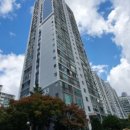 분당-133 이미지