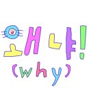 생활in 이미지