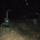 산동목장 이미지