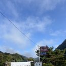 동국이네 | 나들이]핑크뮬리 명소|용문 가볼만한곳|술 못 먹는 사람도 분명 행복해질 맑은술도가 동국이네 가을 정원