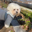 엘라 유치원 이미지