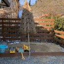 청석포레 이미지