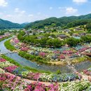 하천(금강3) | 2026 공주 유구색동수국정원 꽃축제 완전정복 | 금강 캠핑 명당 + 공주밤 미식 1박 2일 코스