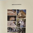 포항지형산책 이미지