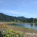 자라섬자전거대여소 이미지