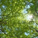 죠스떡볶이바르다김선생수지 | 동탄호수공원 피크닉🌿 아이랑 가기 좋은 곳 | 레이크꼬모 주차꿀팁부터 돗자리 명당까지