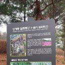 상계역 고가 밑 이미지