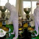 여주게걸무씨앗농장 이미지