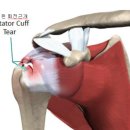 알라딘 메디칼 이미지