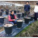 외서농장 이미지