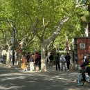 생기자리공원 건너편 | 트위스트 추면서 2