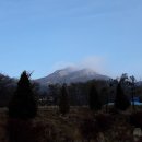 마태농장2 이미지