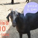 해보라농장 이미지