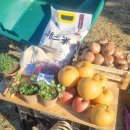 현호농원 이미지