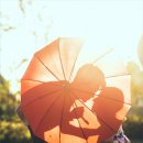 홀릭스튜디오 - 제주시 인다10길 22 | 홀릭스튜디오