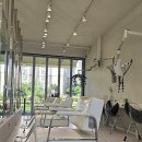 오아오아 | 단발펌의 정석? 의정부 민락동 미용실 추천