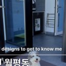 노미네일