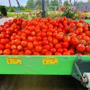 작은농원 이미지