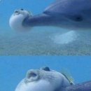 강변복집 이미지