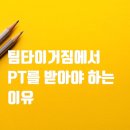 팀타이거짐 이미지