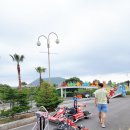 제주파크장 이미지