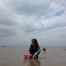 태안둘레길캠핑장 이미지