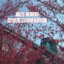 고래문화가 있는날 | 울산 장생포고래문화마을 홍매화 실시간 위치 및 주차정보