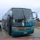 노스탈자 이미지