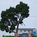 설성파출소 이미지