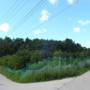 양덕동134 이미지